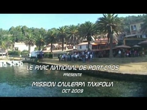 Arrachage Caulerpa Taxifolia Port Cros 2009