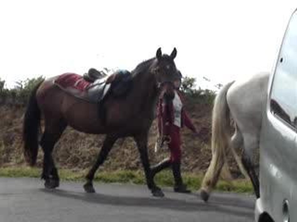 chevaux du ranch B