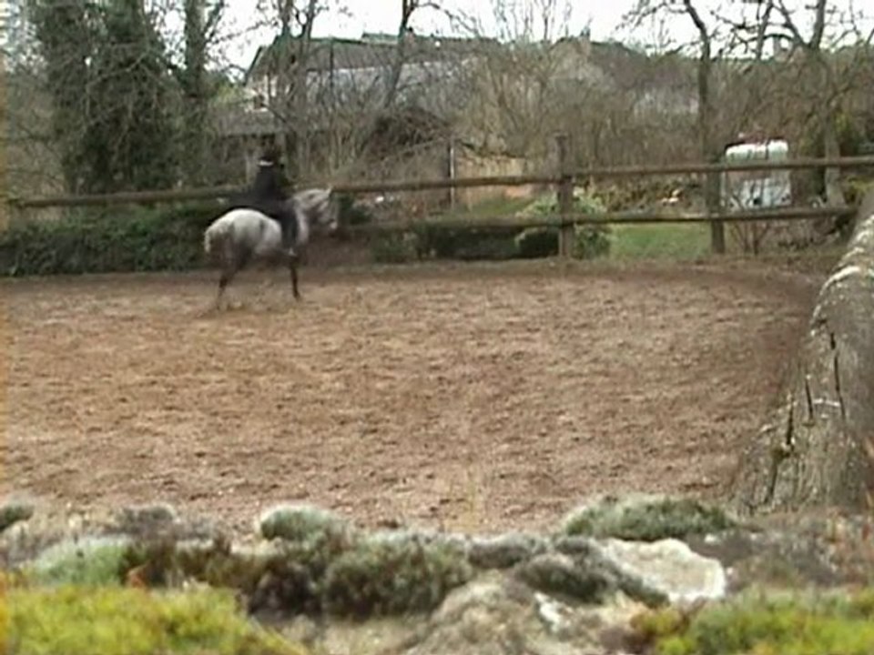 03.03.10 Maltosa trots différents pour YT