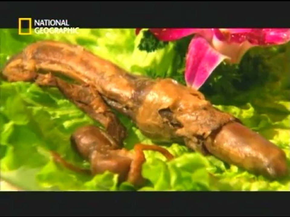 TABOU :" Nourritures De L'Extrème " 1/3