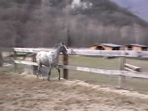 stone saut liberté 1 mars 2010