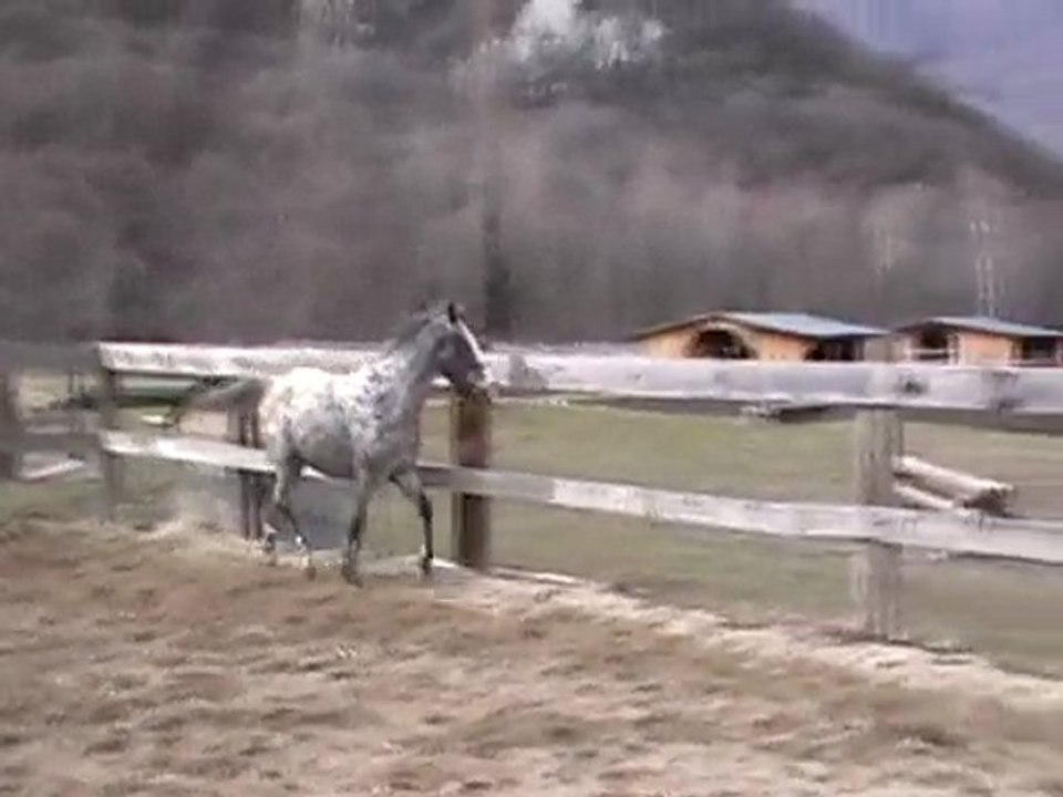 stone saut liberté 1 mars 2010