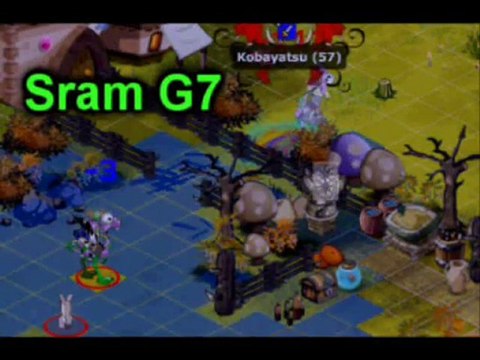 [Dofus] Eniripsa Exo lvl 15x Jiva