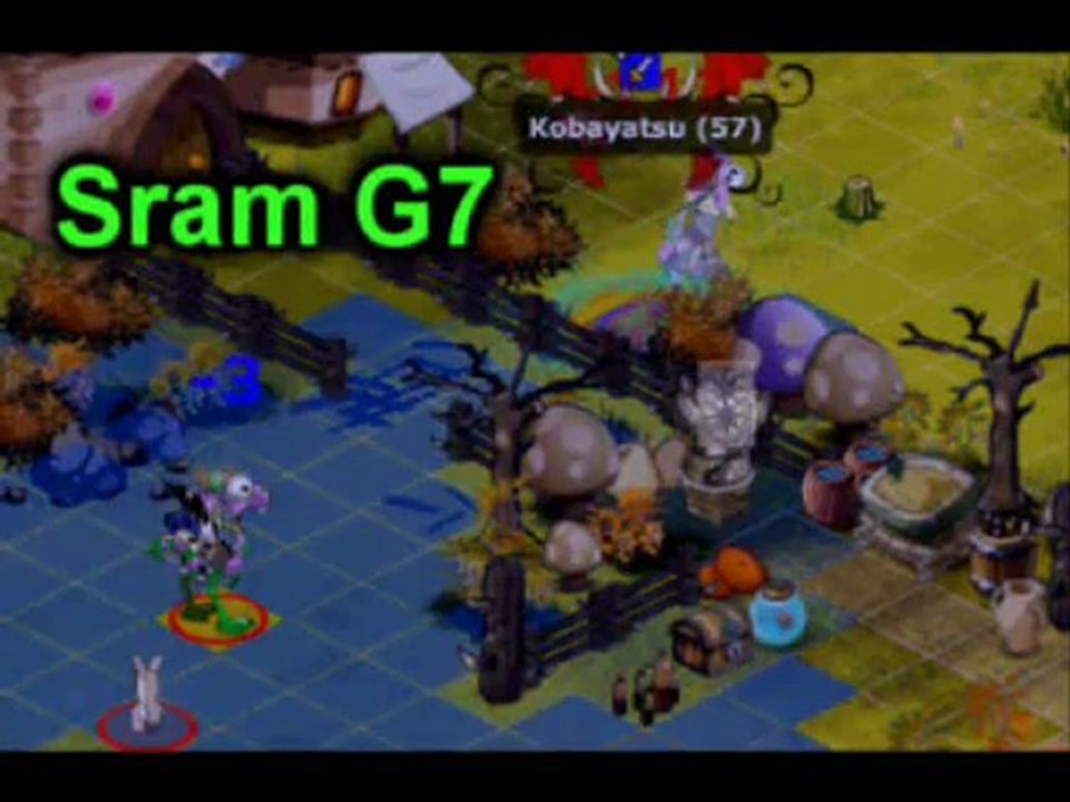 [Dofus] Eniripsa Exo lvl 15x Jiva