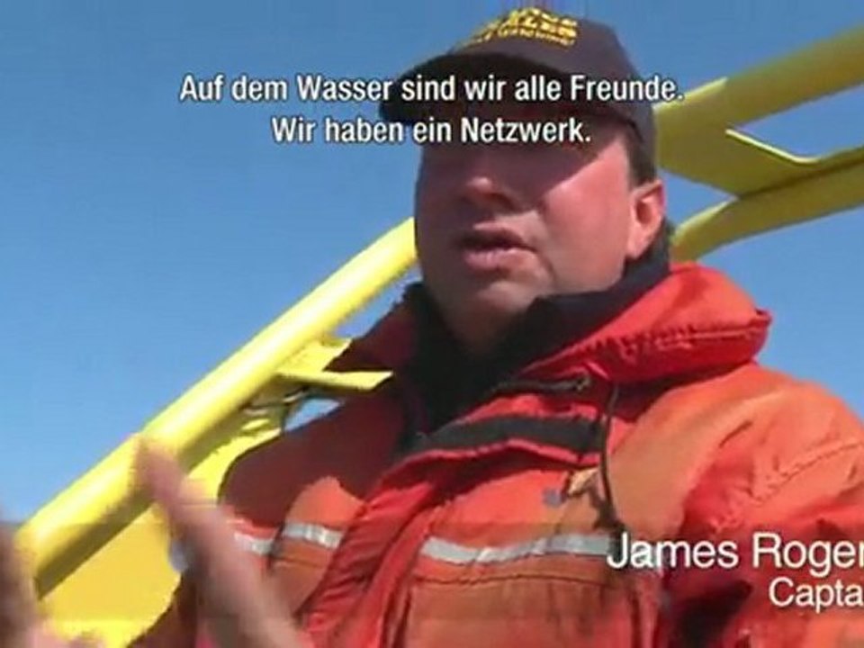 Whale watching in victoria - british columbia, kanada