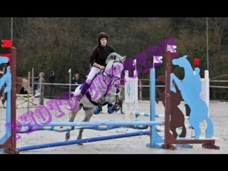 Kango et Moi à Vigny ~ Photos + Vidéo