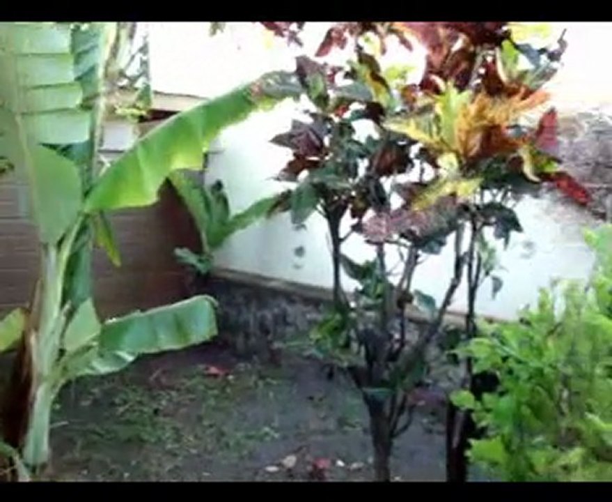 ma maison