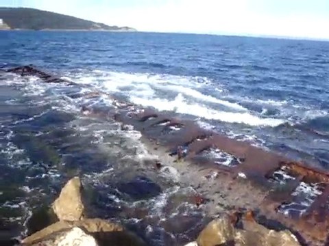 Ile du Levant, port de l'Ayguade, le Benzène