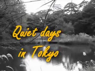 "Quiet days in Tokyo" by Pierre-Jean Gidon