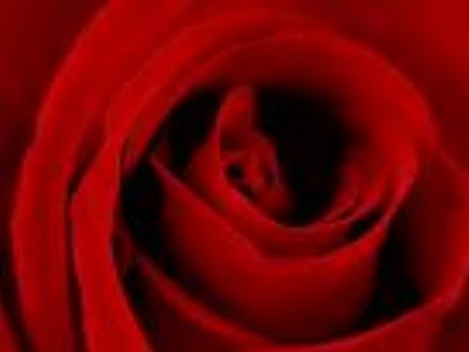 altan borahan SONTANGO