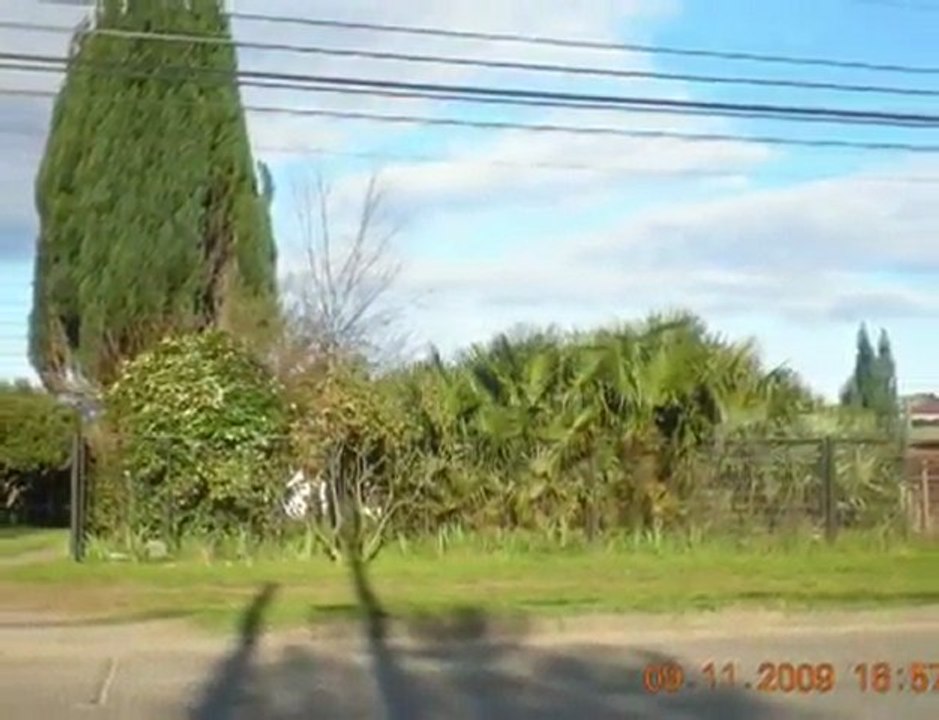 12.(shakira(vicente)