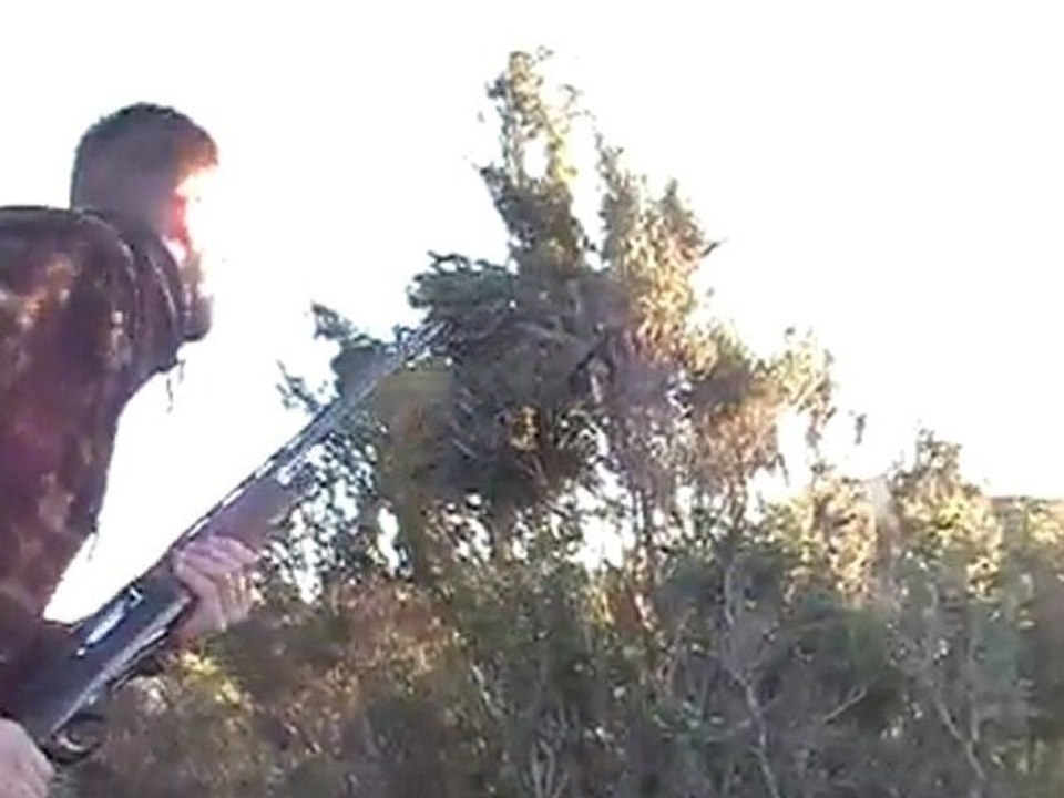 CHASSE A LA GRIVE PORTO VECCHIO