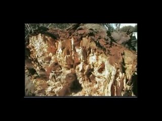 A Pierrot  La faute sur mer Vendee ***AZUR***de pianotouche