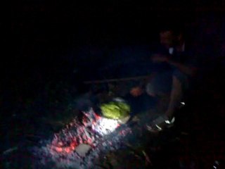 1er soirée au jardin