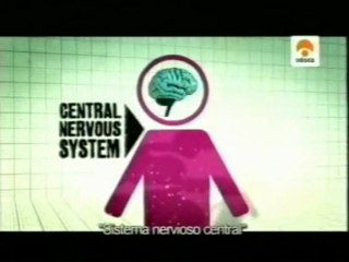 El cerebro de los adolescentes