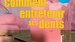 Comment entretenir ses dents