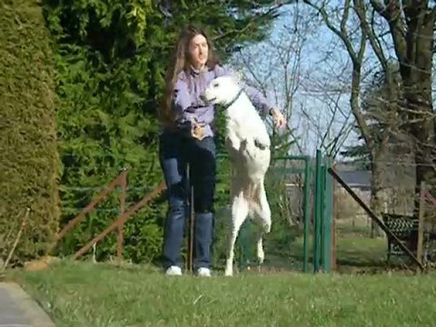 Deli fait de la corde à sauter.. Sans corde! xD