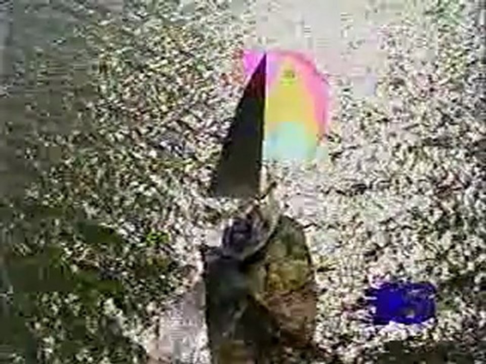 WUSF Tampa Power of Education ID 1999 -- sailboats