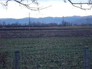 Lièvres