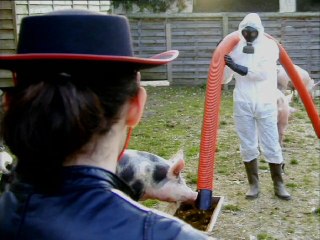 Le bidule - le chemin des crottes