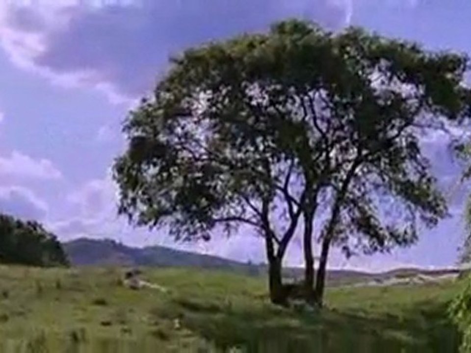 Khong-Tu-Cd1_clip2