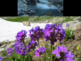 kaçkarlar-www.kavrun.tr.gg