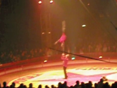Les animaux du cirque