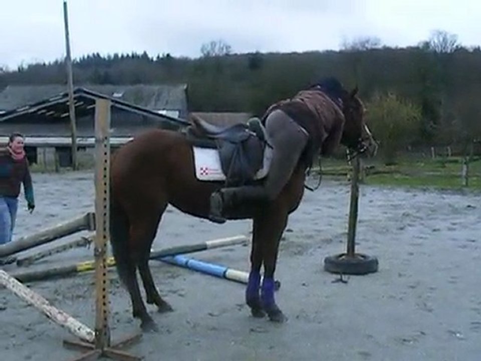 Envie de dire lol