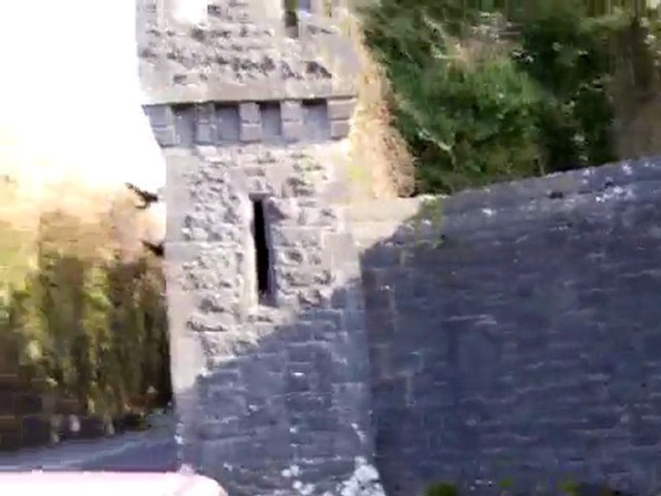 Vidéo 12