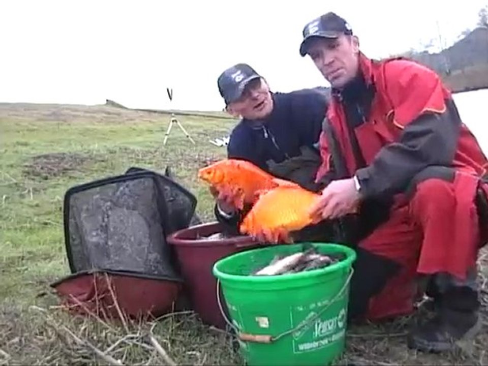 United color of Tonguie