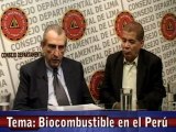 Las alternativas para los biocombustibles en el Perú -Dos