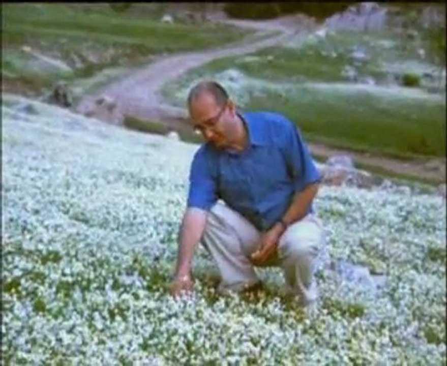 Fethiyeli Tahsin Duru - Sarı Zeybek