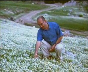 Fethiyeli Tahsin Duru - Sarı Zeybek