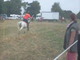 Moi et mes poneys