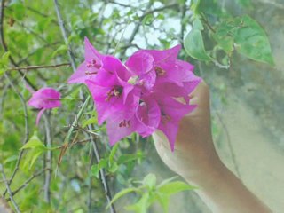 J'AI TOUT OUBLIE de Marc LAVOINE par BENJAMIN et CELINE