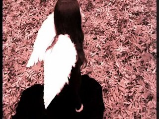 Wings To Fly - Kanon