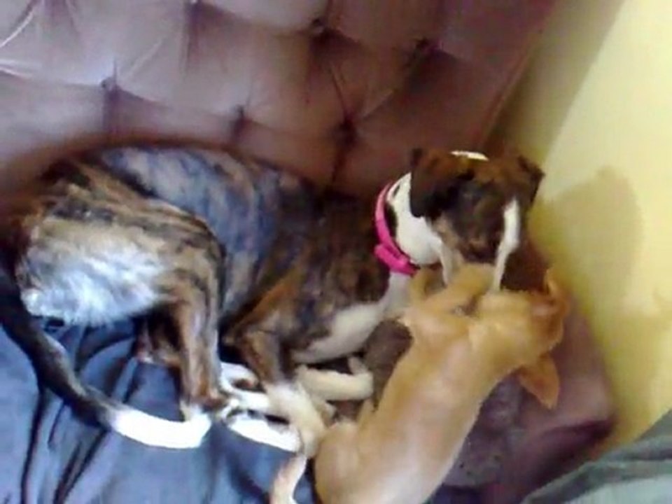 5th march 2010 - AA Daily Reflections