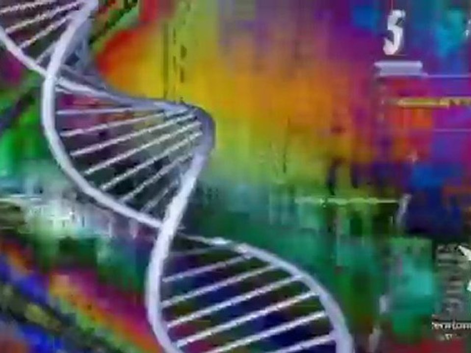 Live @ Spring celebration