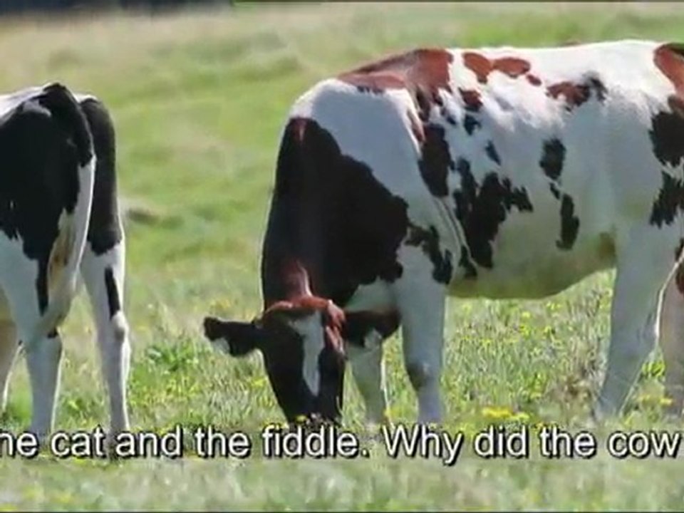 hey diddle diddle the cow jumped over the moon