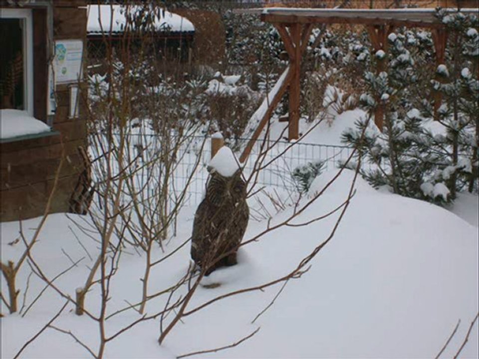 Winter 2009/2010 im Exotik-Kunst-Garten