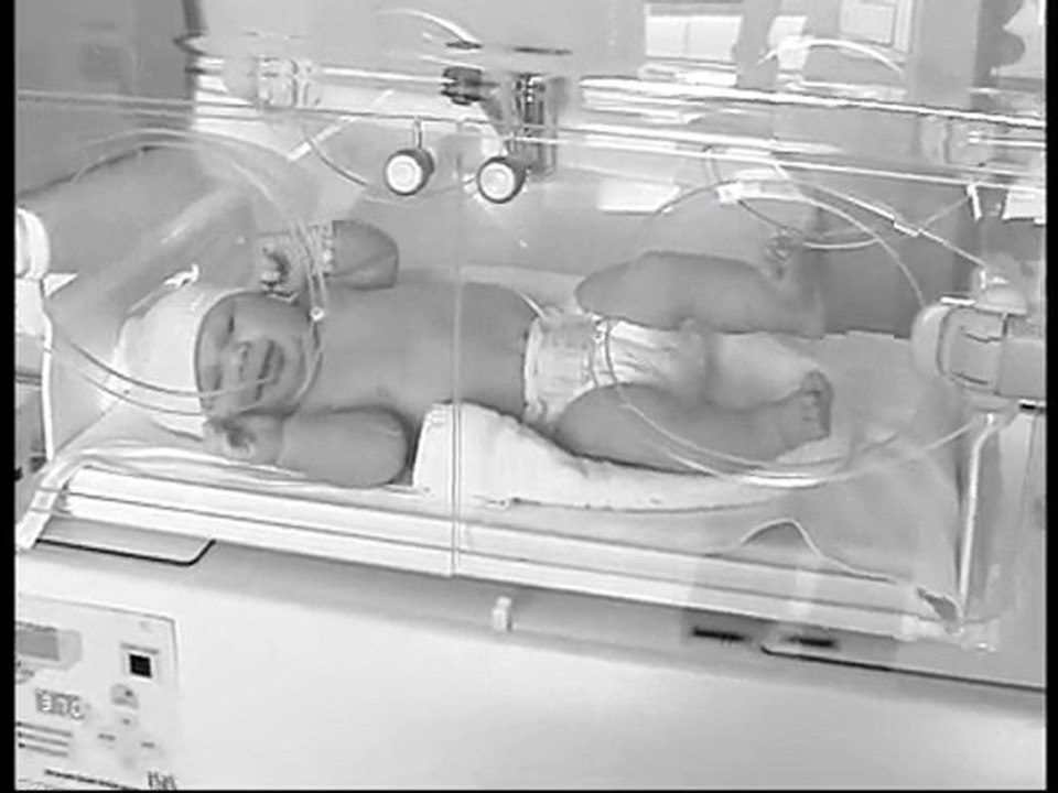 00.dans la couveuse.avi
