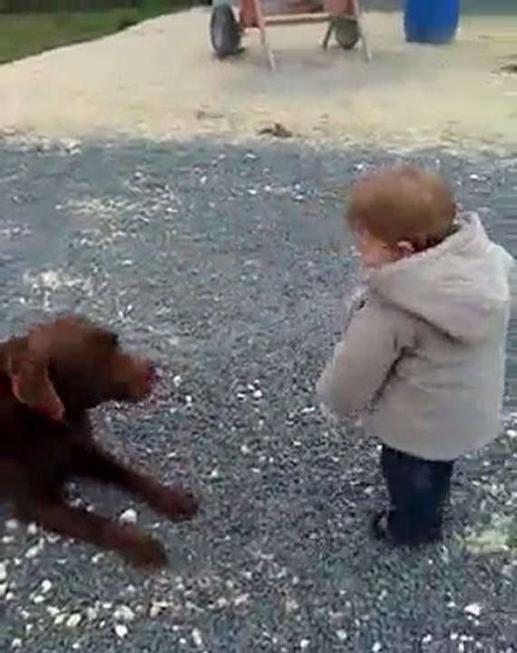 joue avec baloo
