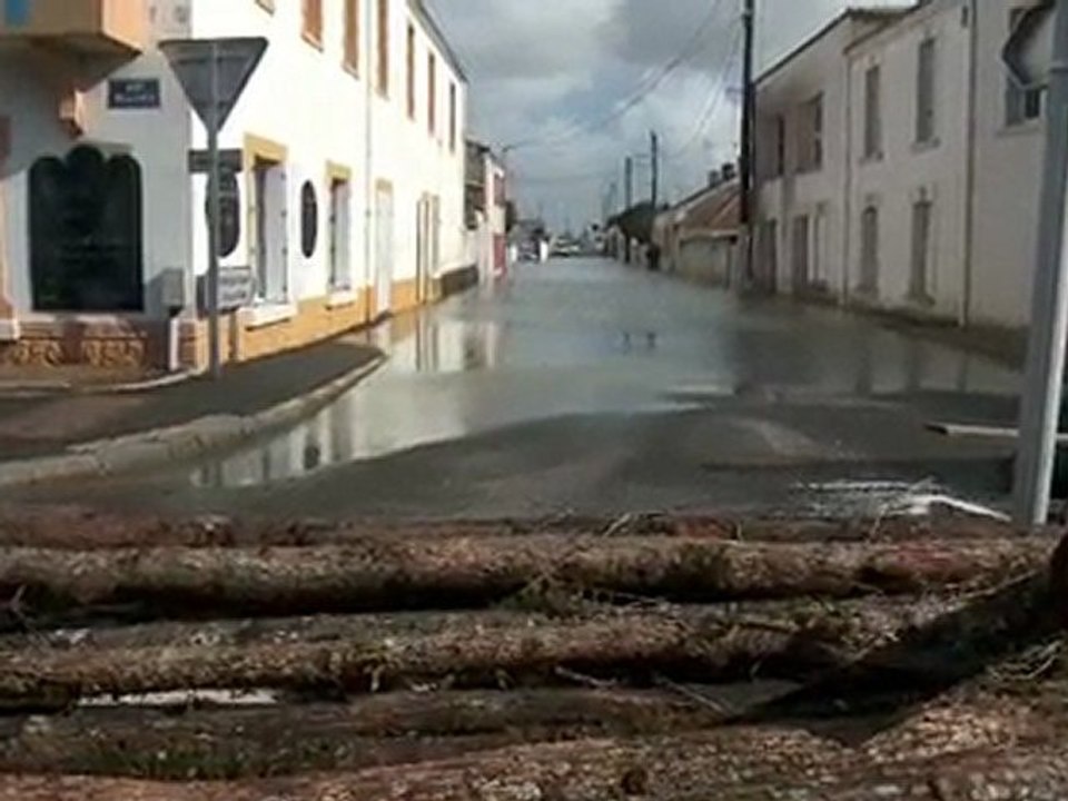 REGION / Vendée / mars2010