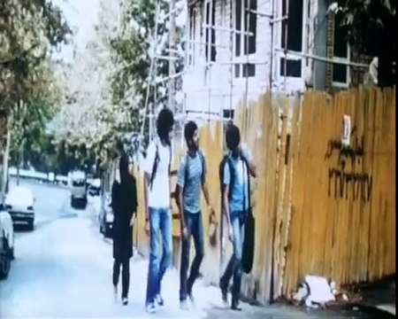 Nadie sabe nada sobre gatos persas - tráiler en español