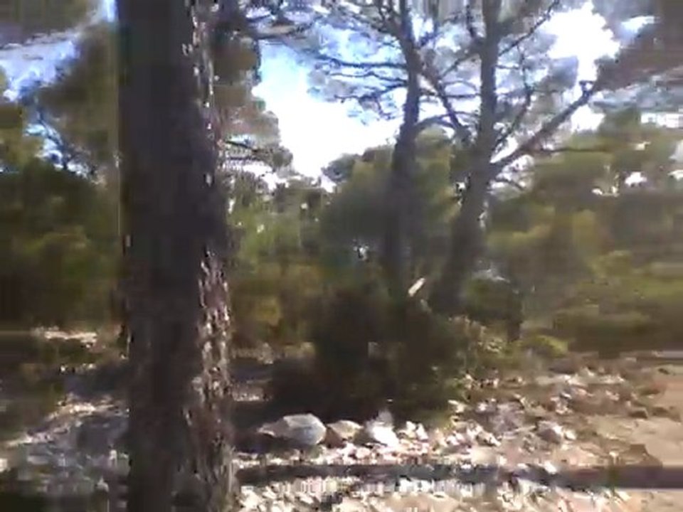 à la recherche de la guilde de roxxor