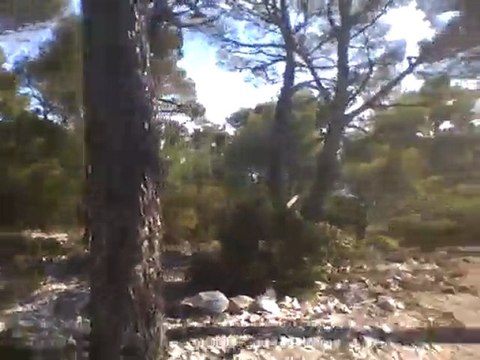 à la recherche de la guilde de roxxor