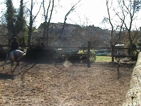 Maltosa 04.03.10 trot et pas pour YT