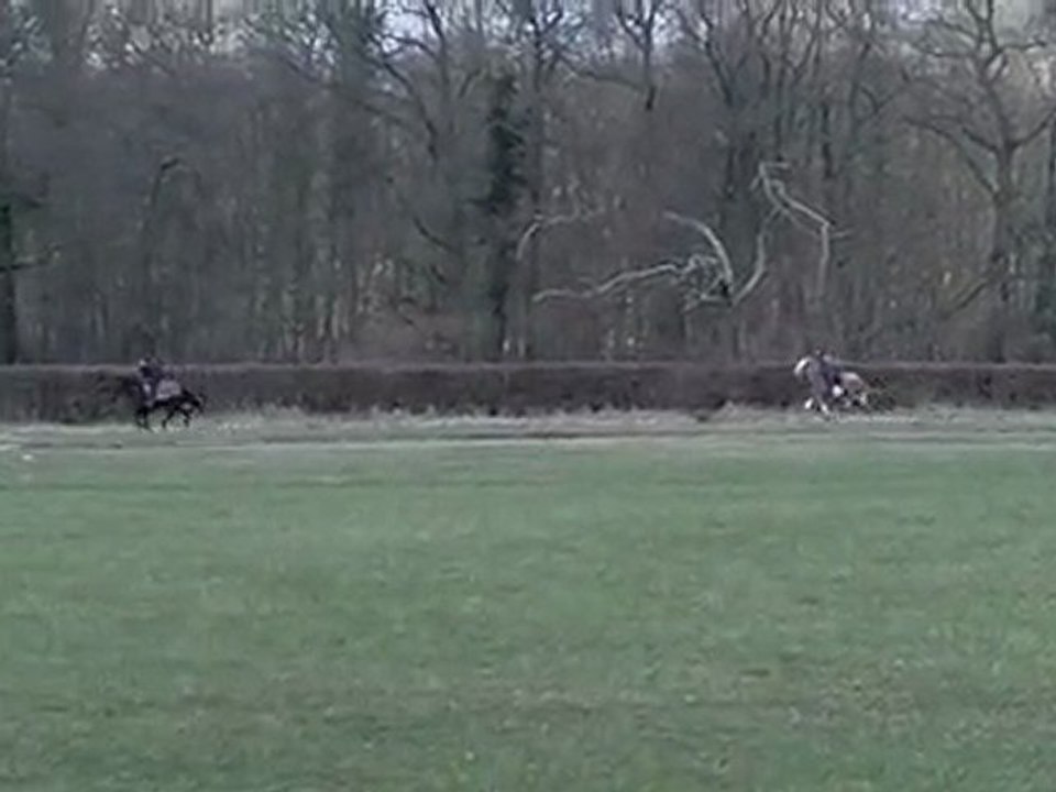 COLOR NOTCH UP CANTER