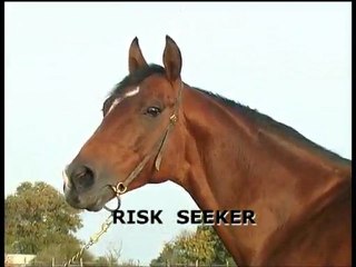Risk Seeker
