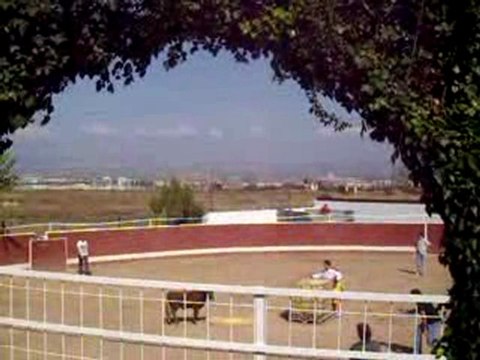 Capeas en logroño (despedidas de solteros) Rioja